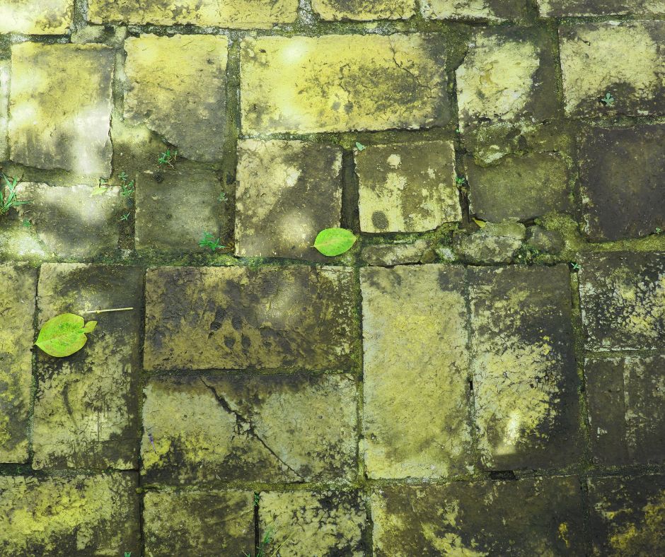 Pressure Washing Torquay property to remove algae on home exterior concrete floor 